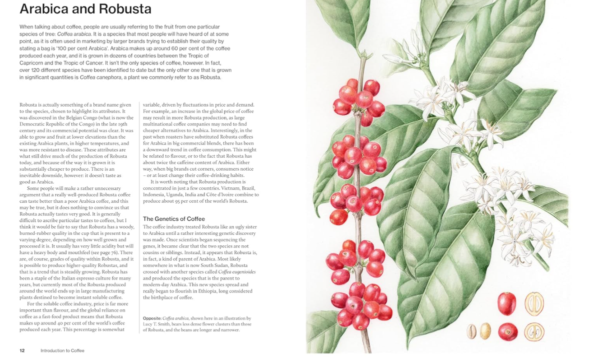 The World Atlas of Coffee - James Hoffmann product image