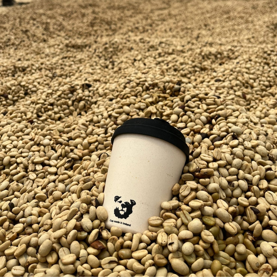 House Roast  (Filter)