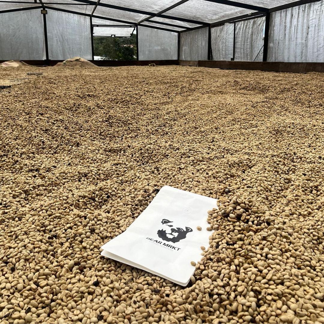 House Roast  (Filter)